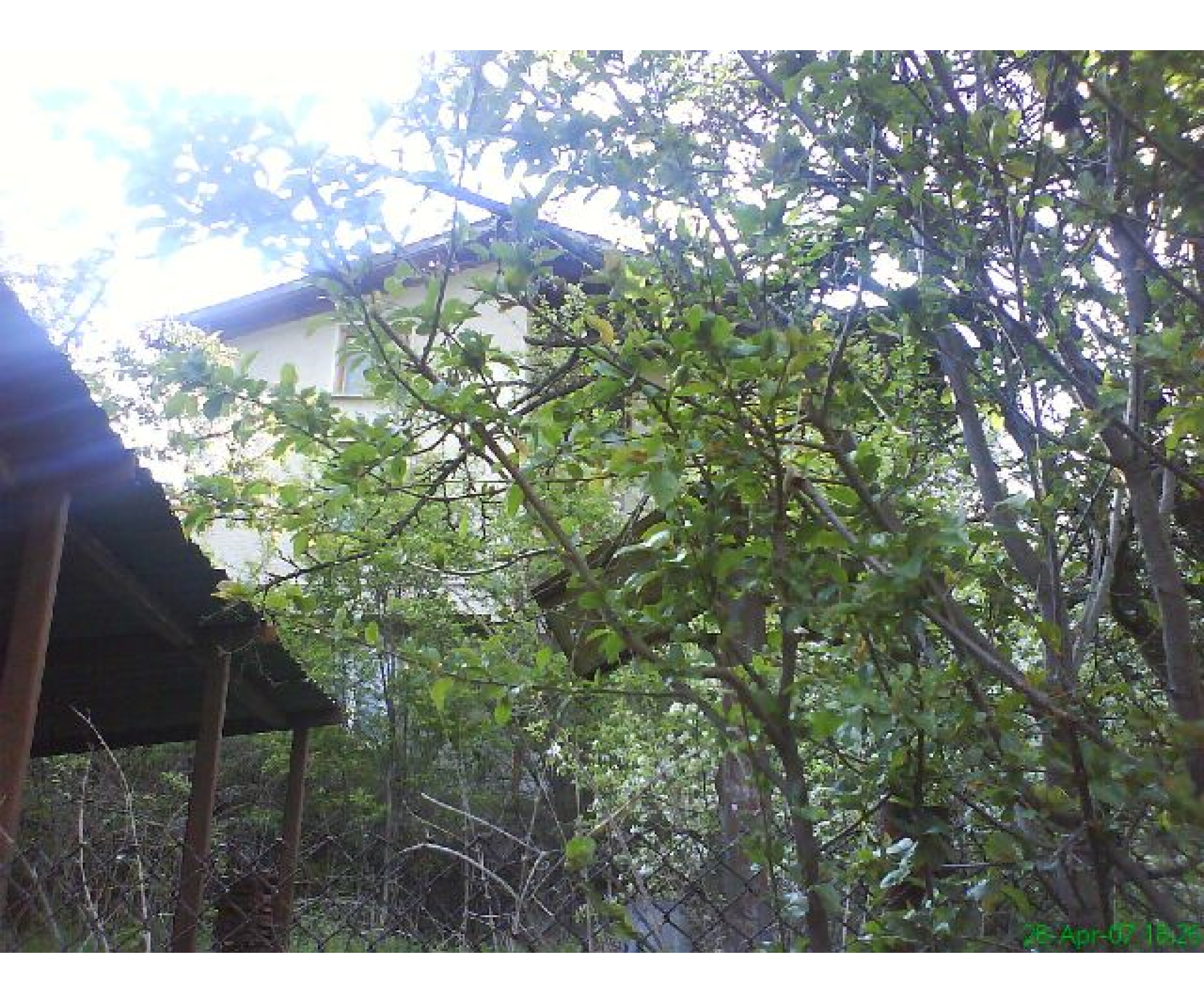 Къща в Ново бърдо